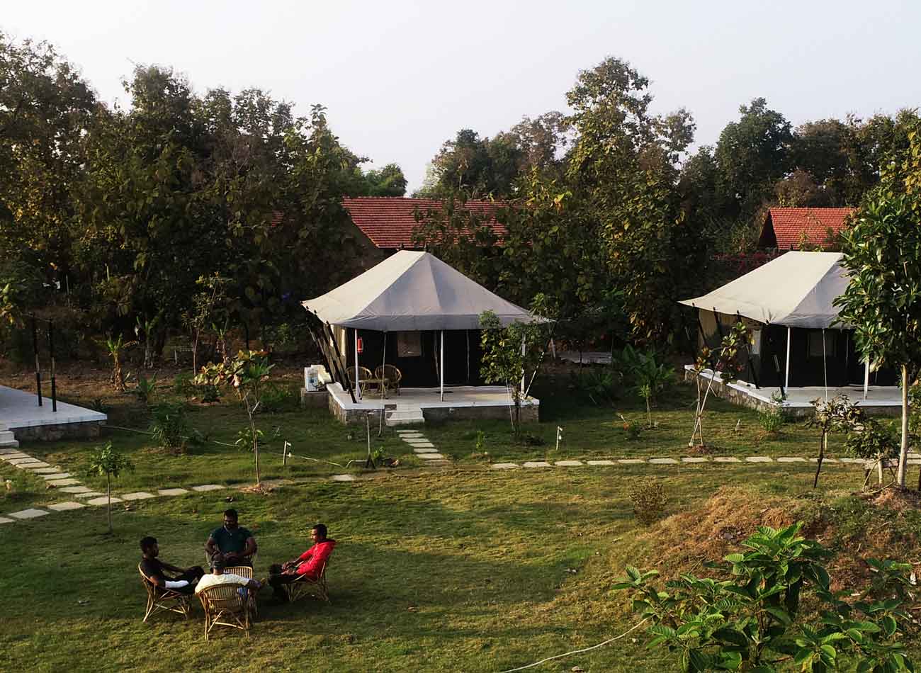 Tadoba Bodhivann Jungle Camp